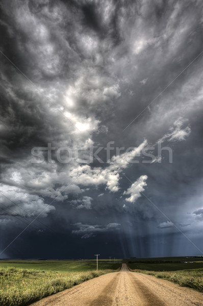 Nubes de tormenta saskatchewan nubes camino de grava cielo naturaleza Foto stock © pictureguy