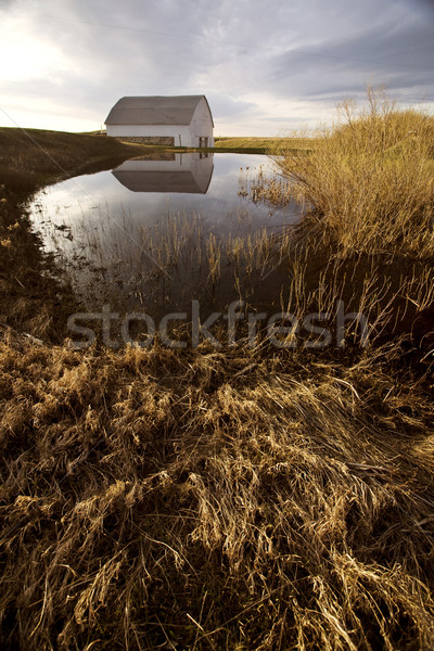 Stock photo: Old Barn and Dugout marsh Canada