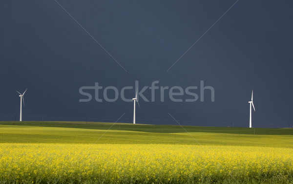 Burzowe chmury saskatchewan farma wiatrowa prąd Kanada niebo Zdjęcia stock © pictureguy