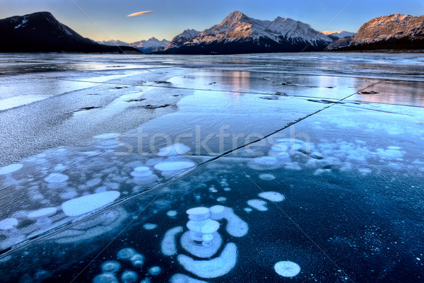 Abraham Lake Winter Stock photo © pictureguy