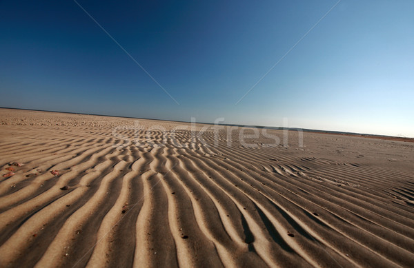 Sand flats along shore of Lake Winnipeg Stock photo © pictureguy