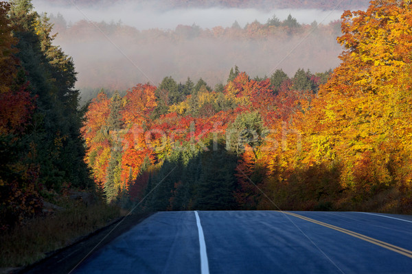 Autumn Colors and road  Stock photo © pictureguy