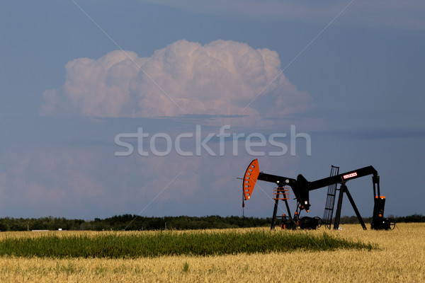 Olaj benzinkút pumpa préri tájkép Saskatchewan Kanada Stock fotó © pictureguy