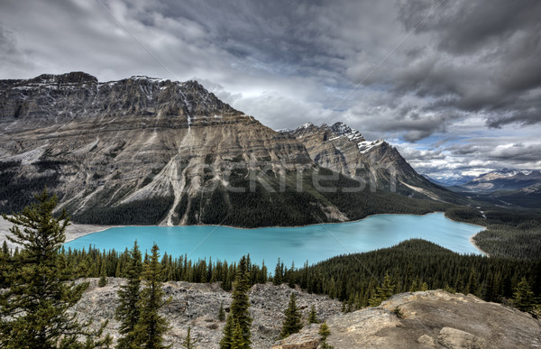 Peyto Lake Alberta Canada Stock photo © pictureguy