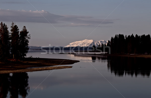 Yellowstone National Park Stock photo © pictureguy