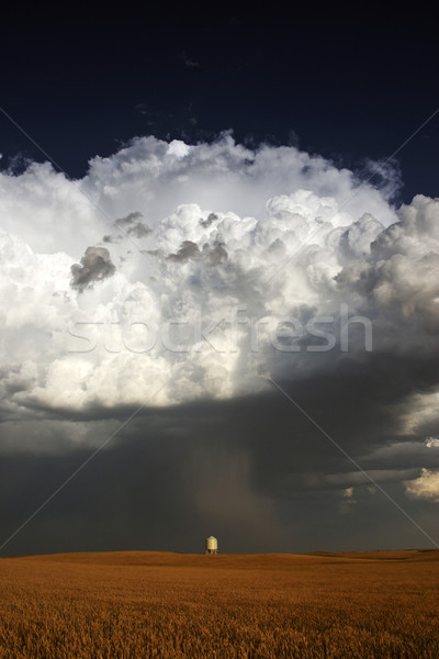 Nasty looking cumulonimbus cloud behind silo Stock photo © pictureguy