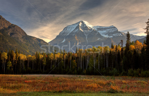 Mount Robson in autumn Stock photo © pictureguy