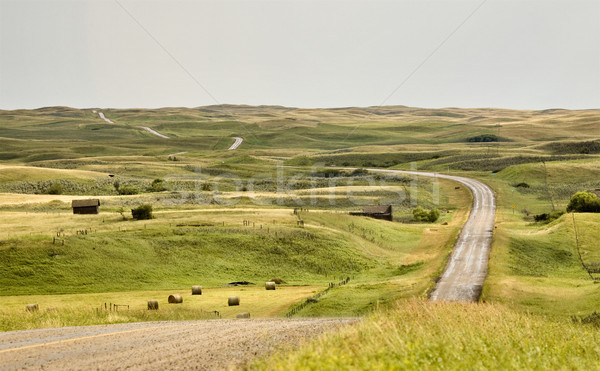 Rural Saskatchewan Stock photo © pictureguy