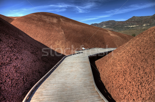 Verniciato colline Oregon colorato view rosso Foto d'archivio © pictureguy