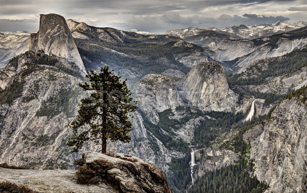 Yosemite National Park Stock photo © pictureguy