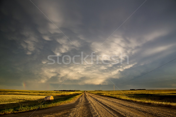 Gewitterwolken Saskatchewan Prärie Szene Himmel Natur Stock foto © pictureguy