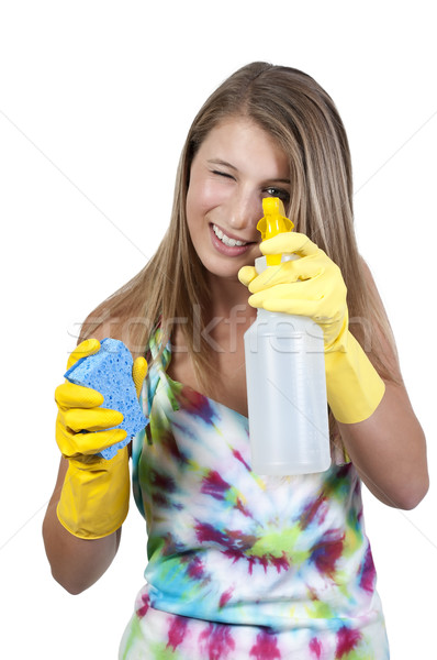 Woman Cleaning House Stock photo © piedmontphoto