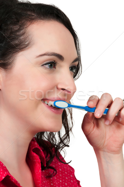 Gyönyörű nő fogmosás gyakorol jó orális fogápolás Stock fotó © piedmontphoto