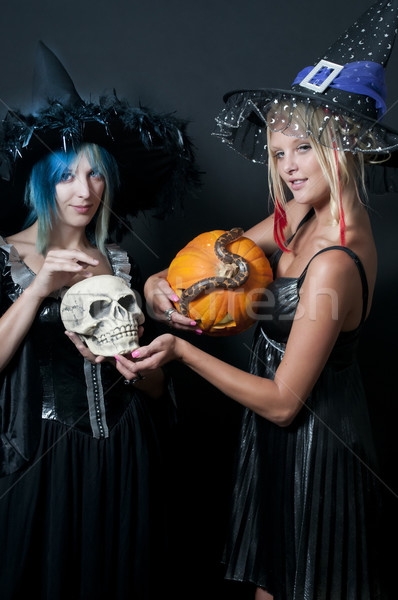 Witches with Snake and Skull Stock photo © piedmontphoto
