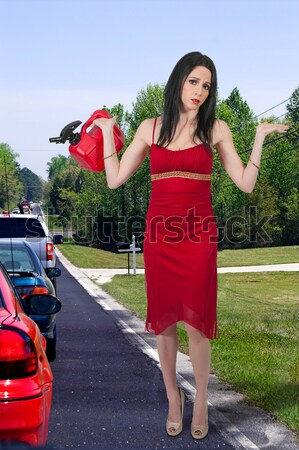 Hermosa jóvenes chica de campo mujer elegante Foto stock © piedmontphoto