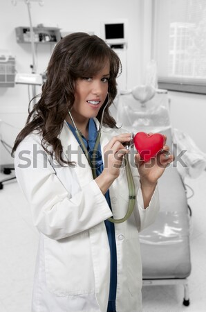 Női kardiológus nő orvos tart piros Stock fotó © piedmontphoto