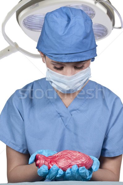 Mujer hermosa cirujano hermosa cardiología realizar Foto stock © piedmontphoto