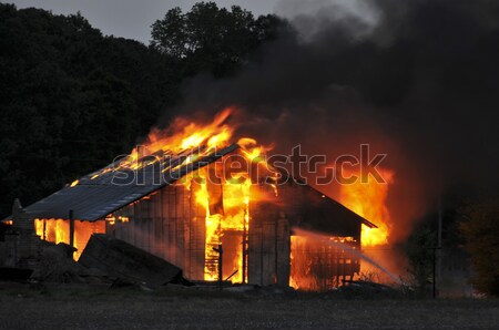 Stock photo: Firefighter