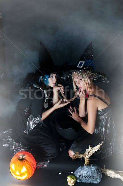 Serpent belle jeunes femmes femme fille beauté [[stock_photo]] © piedmontphoto