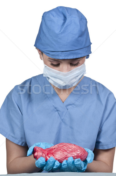 Schöne Frau Chirurg schönen Kardiologie Stock foto © piedmontphoto