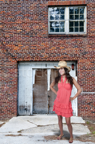 Hermosa jóvenes chica de campo mujer elegante Foto stock © piedmontphoto