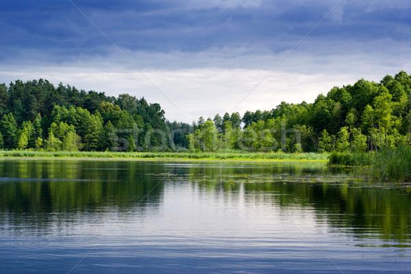 湖 森林 美しい 表示 明るい インターバル ストックフォト © Pietus