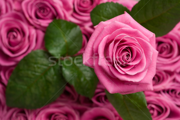 Stockfoto: Romantische · steeg · druppels · water · ander