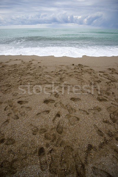 Footsteps. Stock photo © Pietus