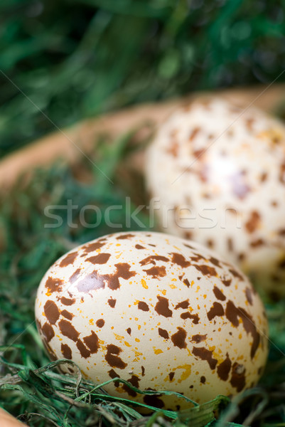 Stok fotoğraf: Easter · egg · yumurta · yeşil · saman · seçici · odak · sığ