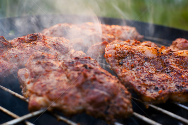Roasted meat on the grill. Stock photo © Pietus