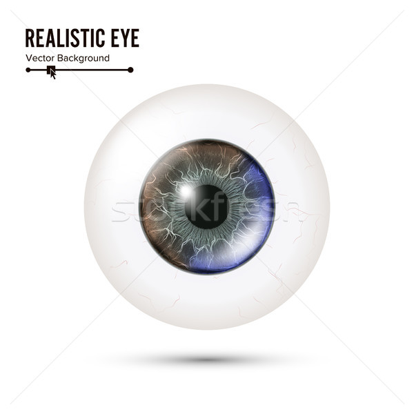 Eye Realistic. Vector Illustration Of 3d Human Glossy Photo Rrealistic Eye With Shadow And Reflectio Stock photo © pikepicture