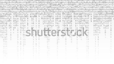 Bináris kód vektor feketefehér számjegyek absztrakt terv Stock fotó © pikepicture