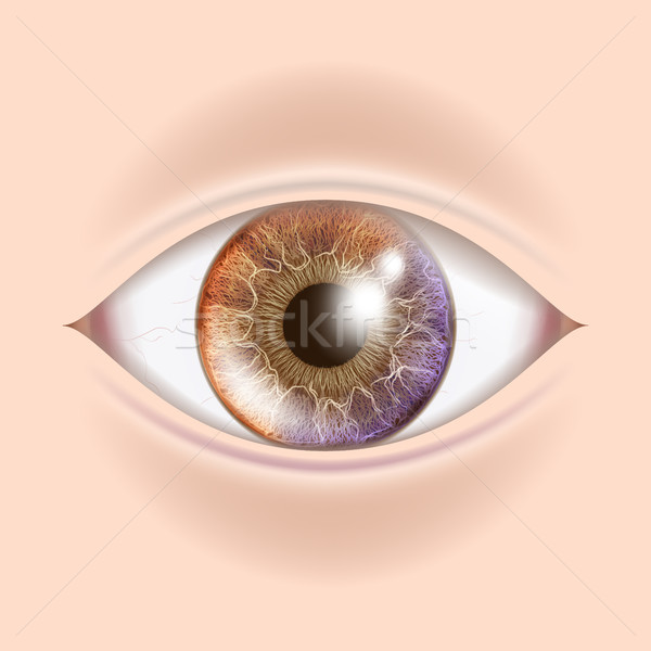 Uman ochi vector optometrist verifica organ Imagine de stoc © pikepicture