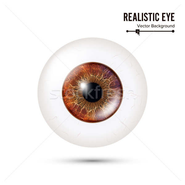 [[stock_photo]]: Réaliste · détaillée · humaine · globe · oculaire · photo · rétine