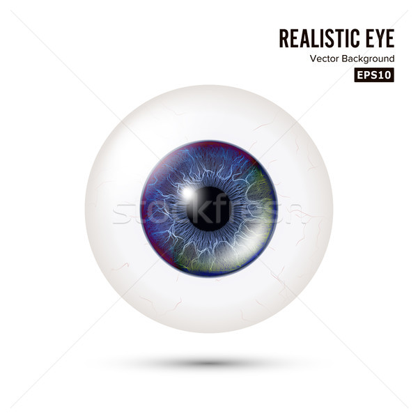 Realistic Human Eyeball. 3d Glossy Photorealistic Eye Detail With Shadow And Reflection. Isolated On Stock photo © pikepicture