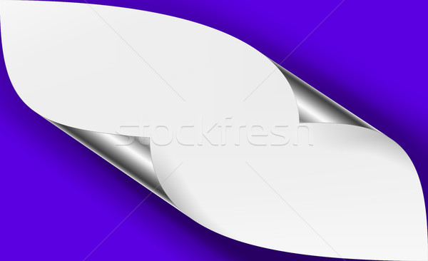 Curled Metallic Corner Vector. Realistic Paper With Soft Shadow Mock Up Close Up Stock photo © pikepicture