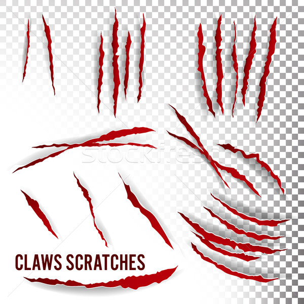 Claws Scratches Vector. Transparent Background. Realistic Illustration Stock photo © pikepicture