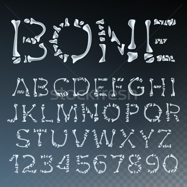 Stock photo: Bone Font Vector. Letters Anatomy. ABC Alphabet. Skeleton Style. Hell Scary Alphabet. Isolated Trans