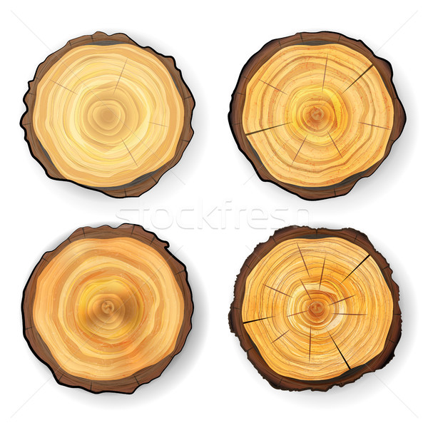 Stock foto: Querschnitt · Baum · Set · Holz · Vektor · realistisch