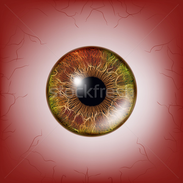 Roşu ochi înfricoşător sangeros realist globul ocular Imagine de stoc © pikepicture