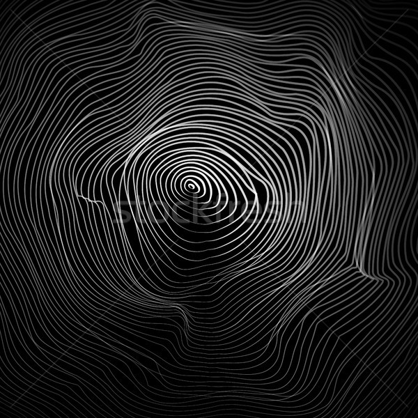 Moire Abstract Texture Vector. Moire Waves. Vector Warped Lines Background. Moire Effect. Stock photo © pikepicture