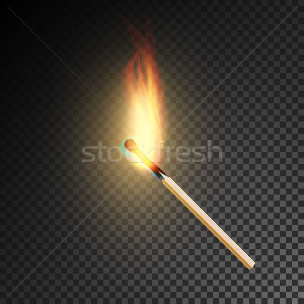 Realistic Burning Match Vector Stock photo © pikepicture