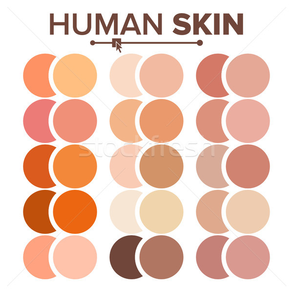 Skin Human Vector. Various Body Tones Chart. Realistic Texture Palette. Illustration Stock photo © pikepicture