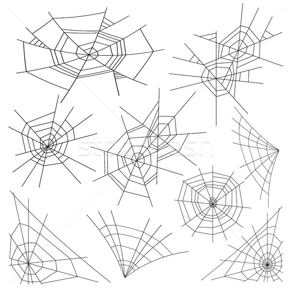 Halloween Spider Web Set Vector. Black Spider Web Isolated On White. Monochrome Hector Venom Cobweb  Stock photo © pikepicture