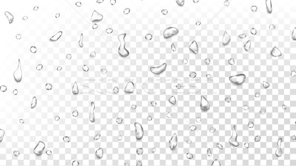 Water Drops Background Vector. Wet Backdrop. Clean Fresh Water. Abstract Bubble. Isolated On Transpa Stock photo © pikepicture