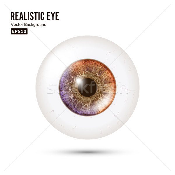 写真 現実的な 眼球 人間 網膜 ストックフォト © pikepicture