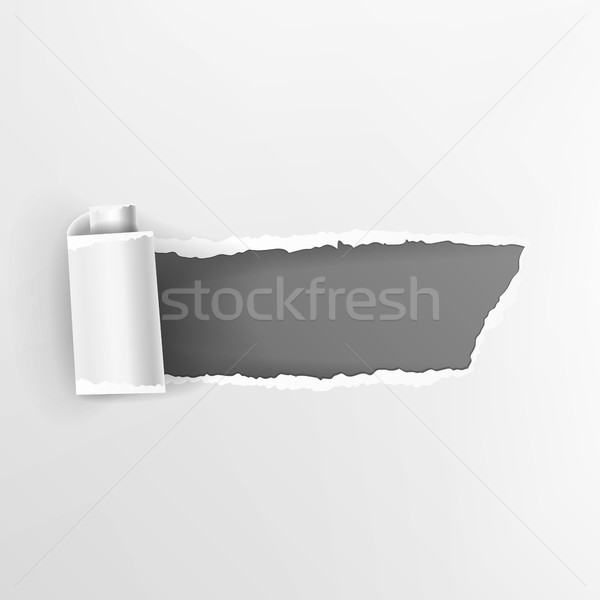 Torn Paper With Curls Vector. Realistic Hole In Paper Isolated. Element For Your Design. Stock photo © pikepicture