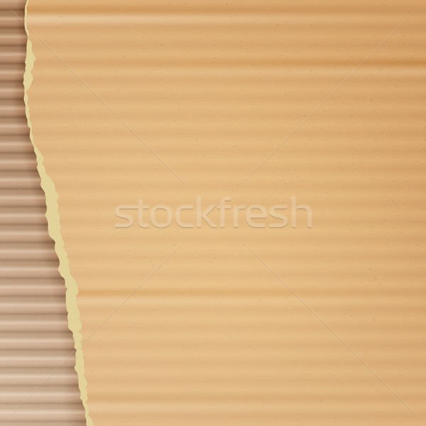 Corrugated Cardboard Vector Background. Realistic Texture Ripped Cardboard Wallpaper With Torn Edges Stock photo © pikepicture