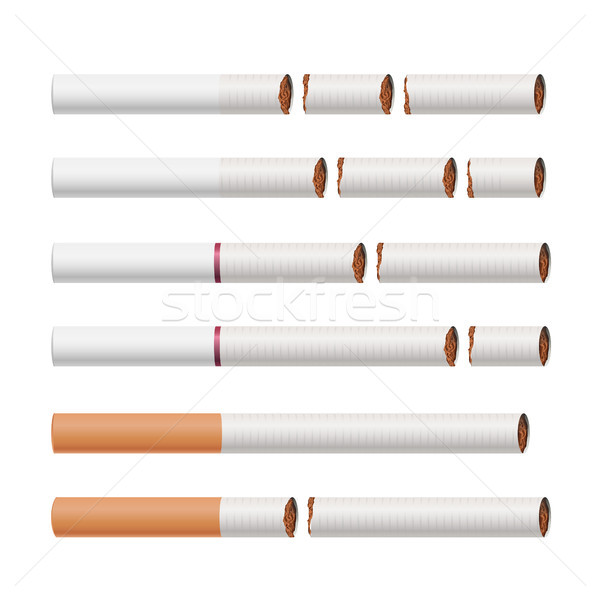 Broken Cigarettes Vector. Smoking Kills. Medical Healthcare Quit Smoking Concept. Tobacco Leaves. Re Stock photo © pikepicture