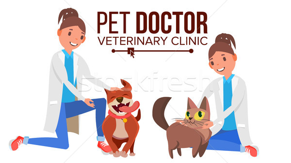 Veterinarian Female Vector. Dog And Cat. Medicine Hospital. Pet Doctor, Nurse. Health Care Clinic Co Stock photo © pikepicture